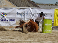 Rodeo Hoslovice 15.6.2013