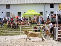 Rodeo Hoslovice 15.6.2013 Autor fotek Bára Vaníčková