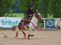 Rodeo Kozohlody 29.6.2013 Autor fotek : Martin Černý