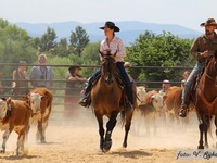 Rodeo Plástovice 20.7. 2013 Autor fotek: Vilém Sýkora