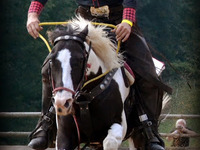 Rodeo Bohdalice 6.9. 2014 Autor fotek : Zdeňka Newiaková