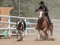 Rodeo Radotín 2016