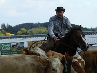 Finálové rodeo Hoslovice 2017- František Malý